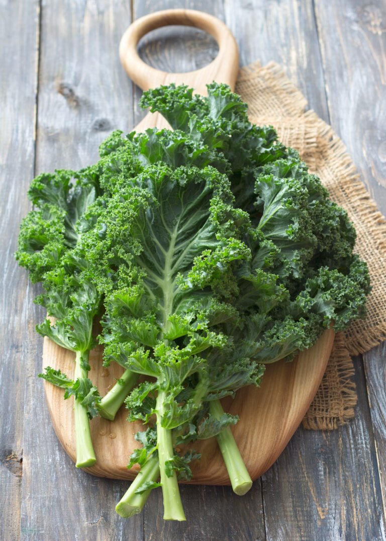 Why Your Gut Needs More Bitter Foods (And How to Add Them)